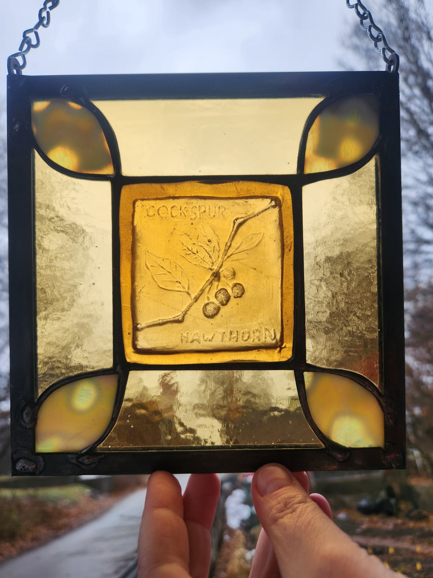 "Cockspur Hawthorn" Stained Glass Panel