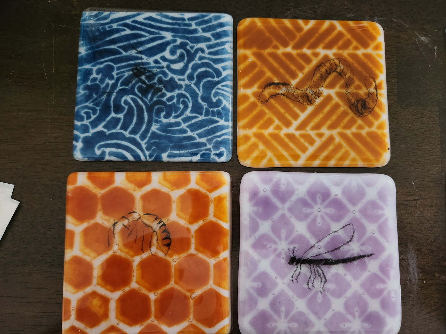 Invertebrate Coasters