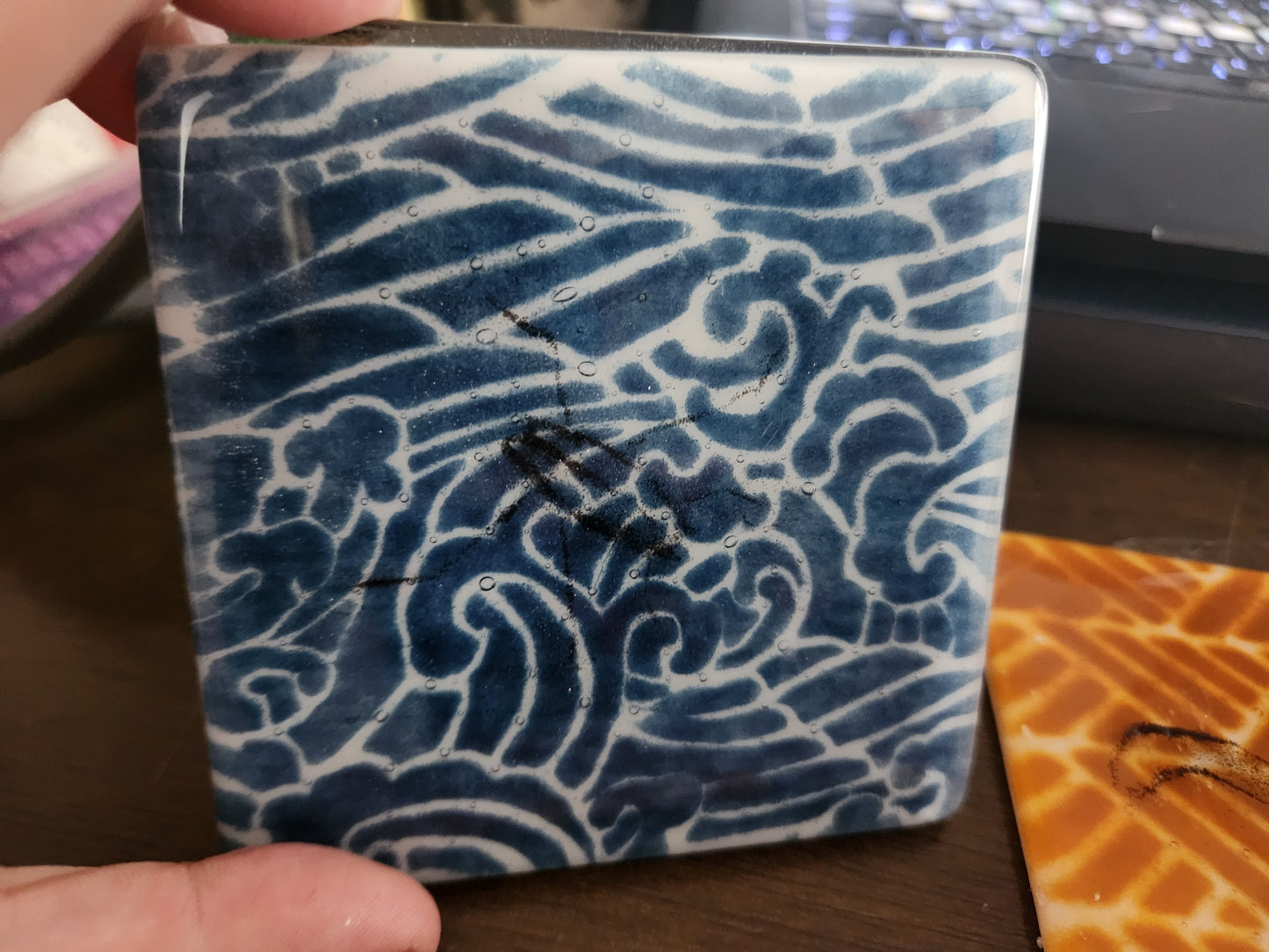 Invertebrate Coasters