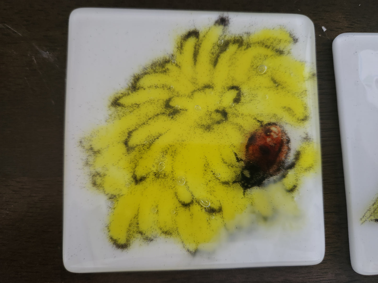 Insect Coasters