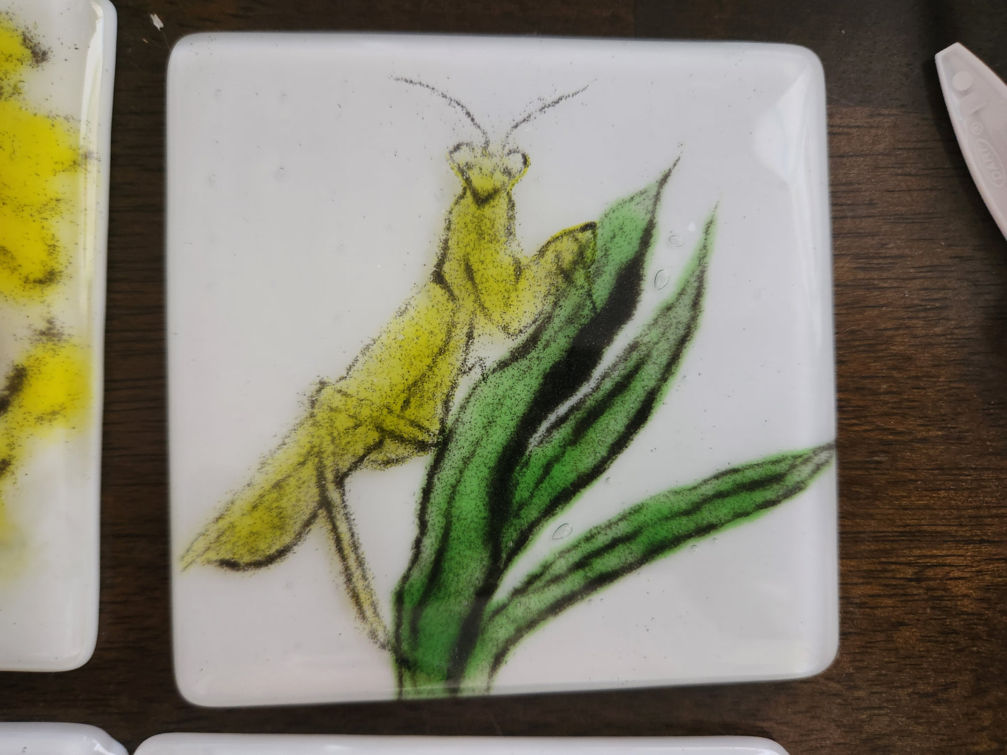 Insect Coasters