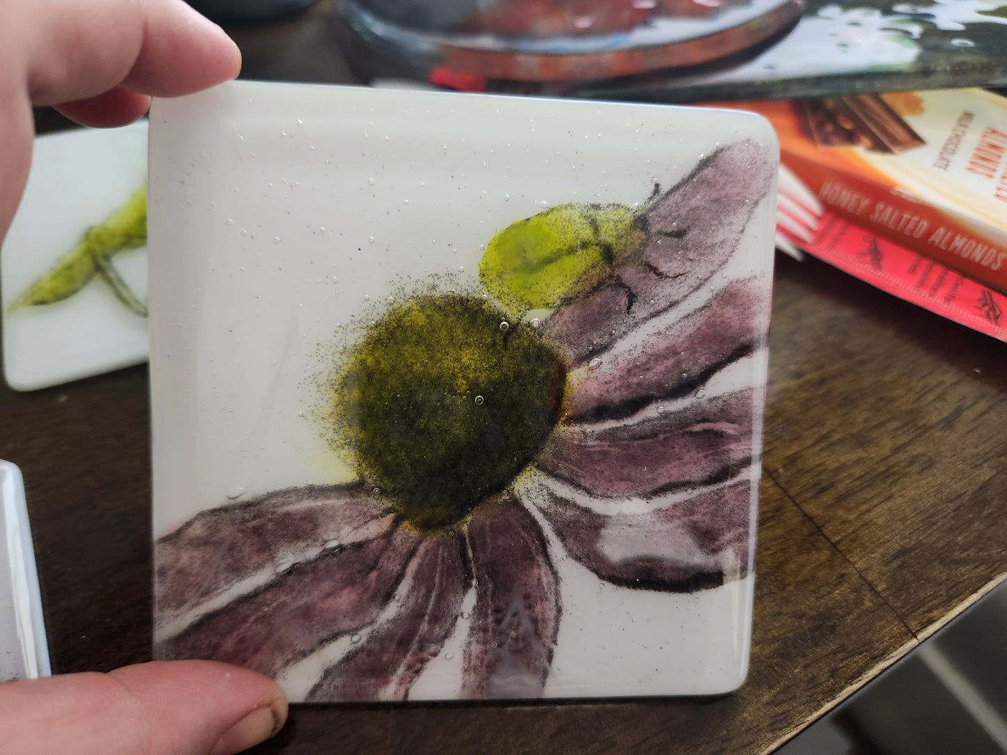 Insect Coasters