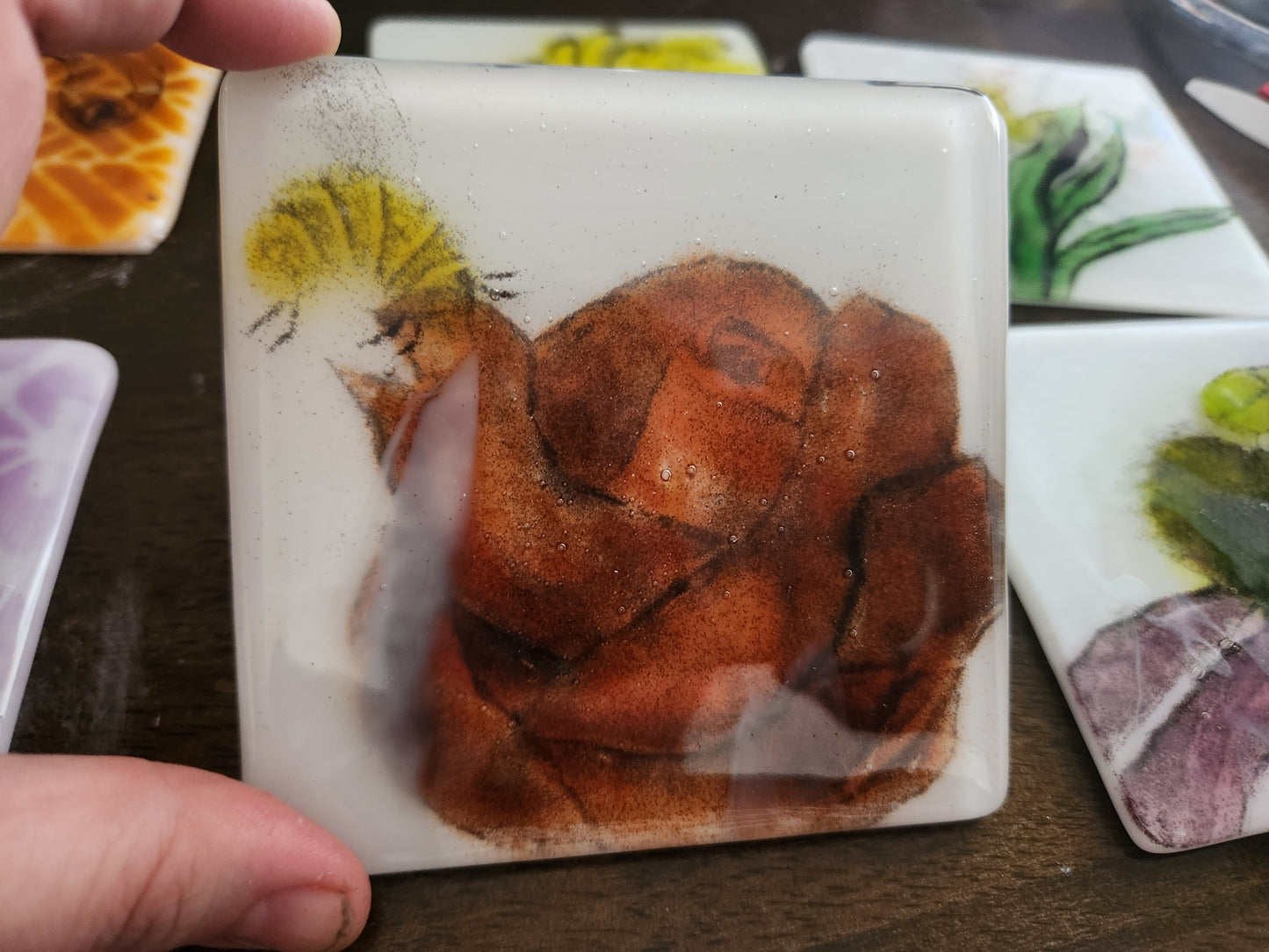 Insect Coasters