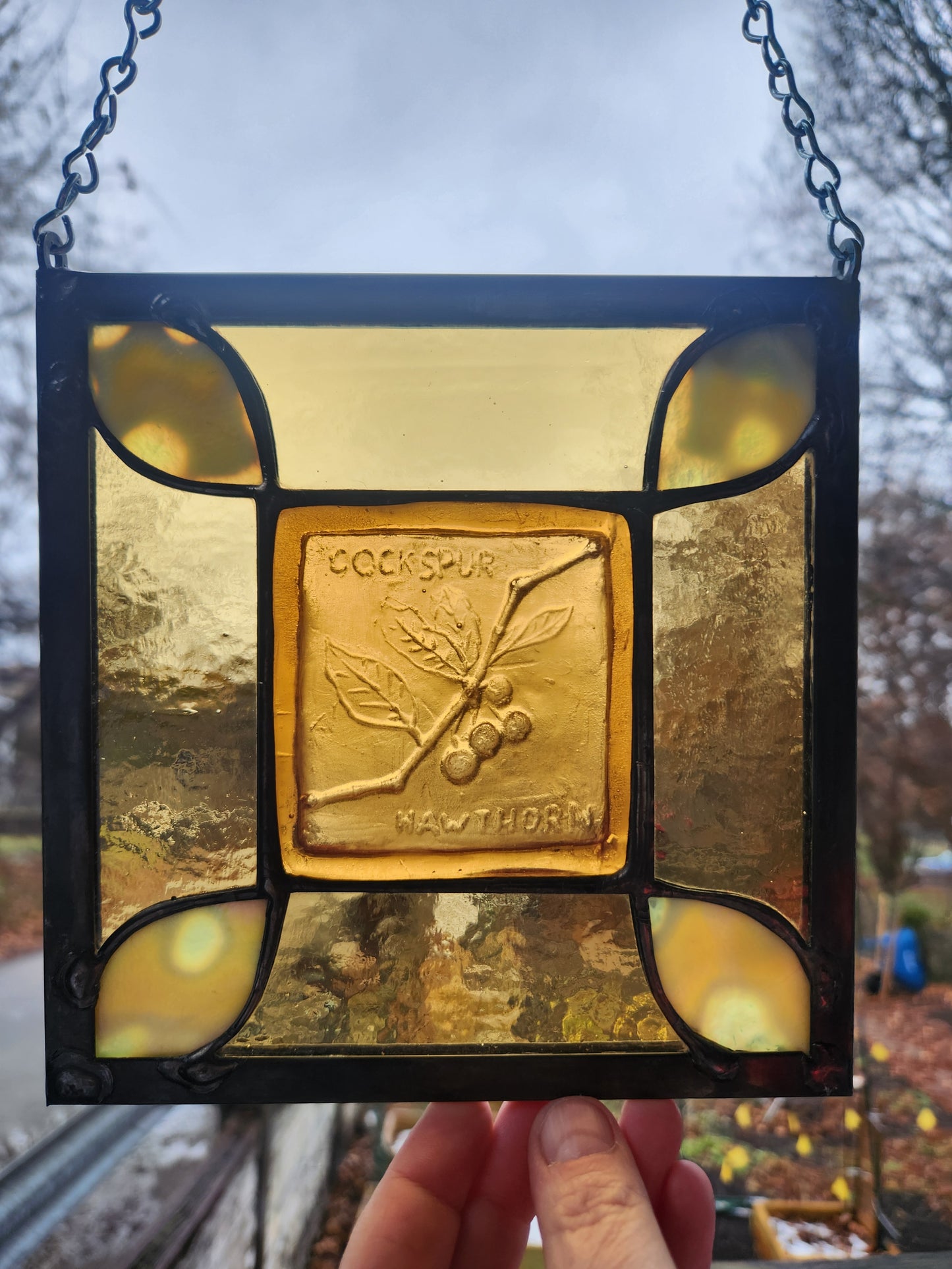 "Cockspur Hawthorn" Stained Glass Panel